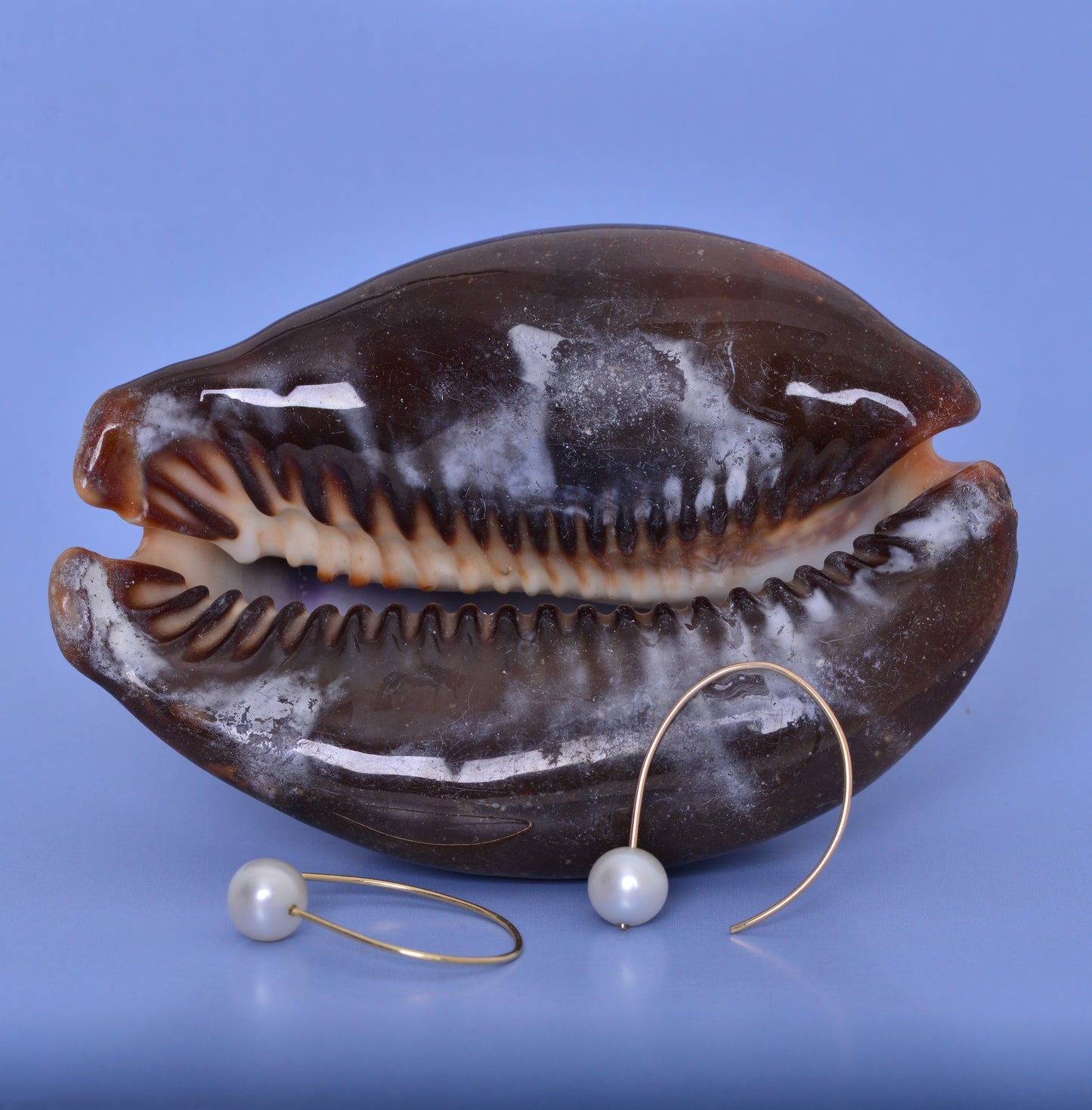 Simple 18kt and pearl open hoop earring. 7mm round pearls 1 on each hoop earring 1.25" x .5". shown on a blue background.