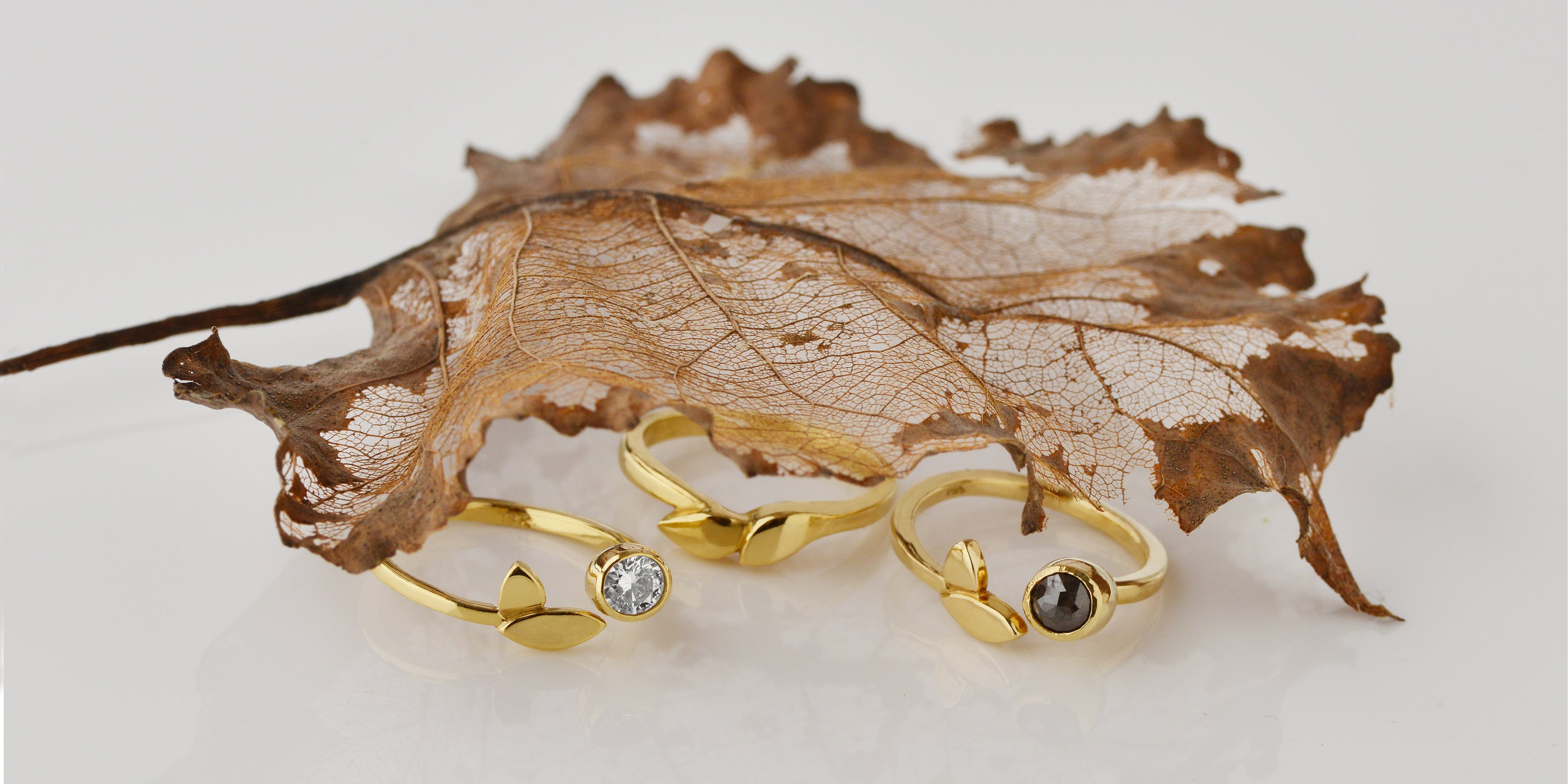Three gold rings with gemstones on a leafy background